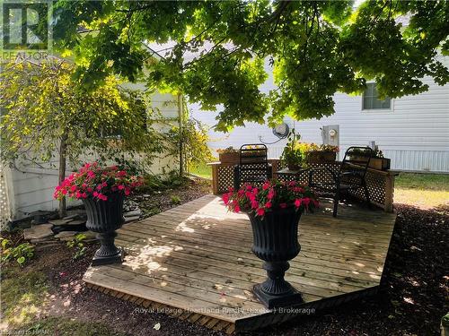 19 George Street, Strathroy-Caradoc (Se), ON - Outdoor With Deck Patio Veranda