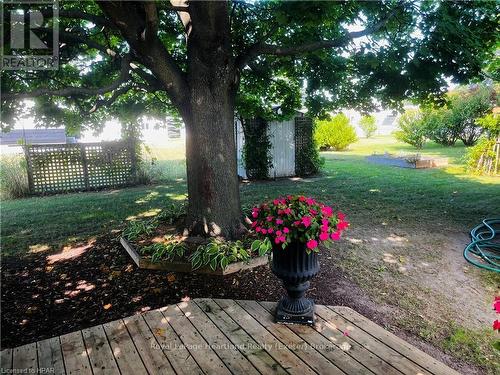 19 George Street, Strathroy-Caradoc (Se), ON - Outdoor With Deck Patio Veranda