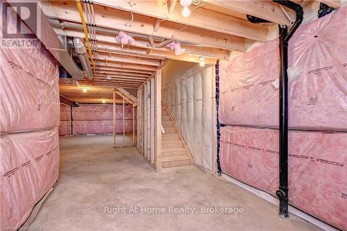 442 Westhaven Street, Waterloo, ON - Indoor Photo Showing Basement