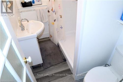 368 Alfred Street, Kingston (East Of Sir John A. Blvd), ON - Indoor Photo Showing Bathroom