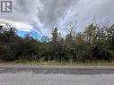 Lot 15 Martin Drive, Stone Mills, ON 