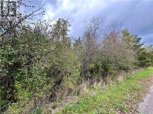 Lot 15 Martin Drive, Stone Mills, ON 