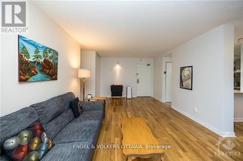 303 - 333 Chapel Street, Ottawa, ON - Indoor Photo Showing Living Room