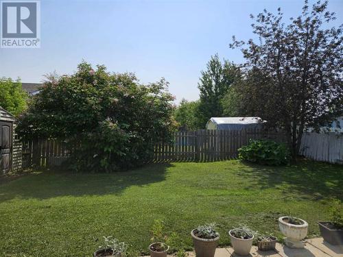 131 Wolverine Drive, Fort Mcmurray, AB - Outdoor With Backyard