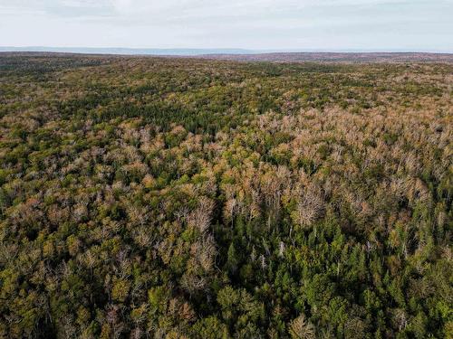 31.45 Acre Marble Mountain Road, Lime Hill, NS 