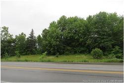 Vacant Land Woodstock/Prospect ST  Fredericton, NB E3B 5B4