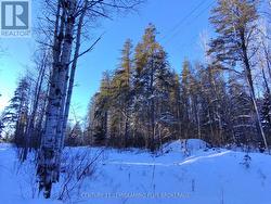 PART 11 GIRL GUIDE ROAD  Timiskaming (Tim - Outside - Rural), ON P0J 1C0