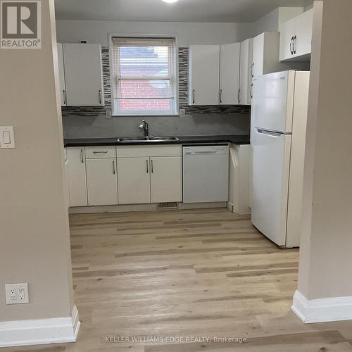 25 West 4Th Street, Hamilton, ON - Indoor Photo Showing Kitchen With Double Sink