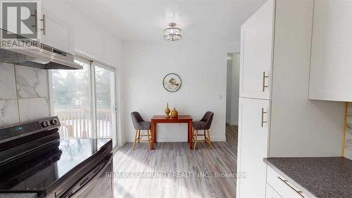 259 Ross Avenue, Kitchener, ON - Indoor Photo Showing Kitchen