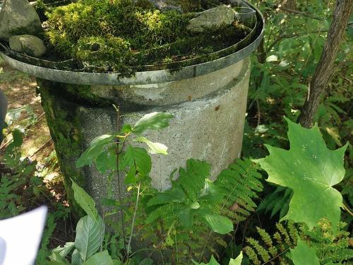 Autre - Route 243, Racine, QC 