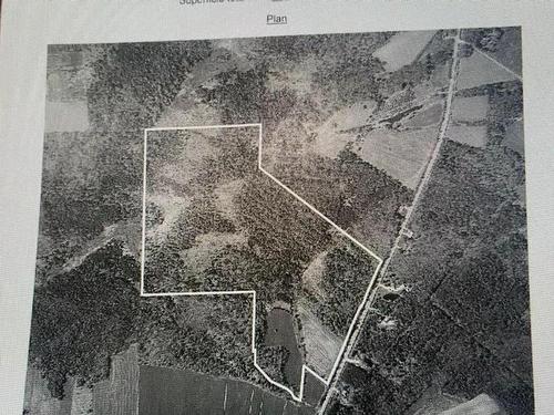 Plan (croquis) - Route 243, Racine, QC 