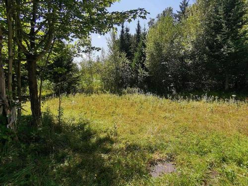 Terre/Terrain - Route 243, Racine, QC 