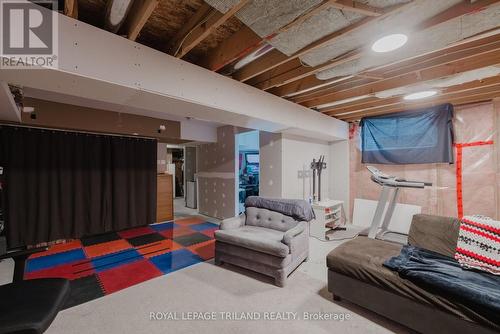 711 Springwood Crescent, London, ON - Indoor Photo Showing Basement