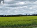 Lot 10 Parcel 3.55 Acres, Nipawin Rm No. 487, SK 