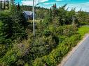 120 Country Path Unit#Lot 6, Holyrood, NL 