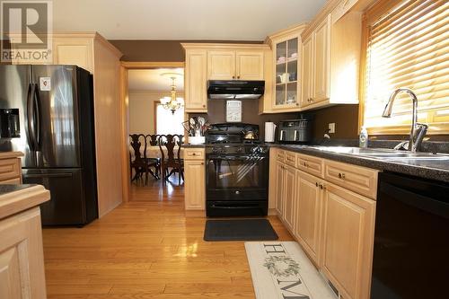 885 Pine St, Sault Ste. Marie, ON - Indoor Photo Showing Kitchen With Double Sink