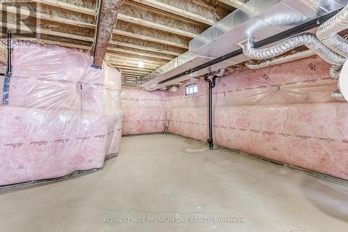 468 Black Cherry Crescent, Shelburne, ON - Indoor Photo Showing Basement