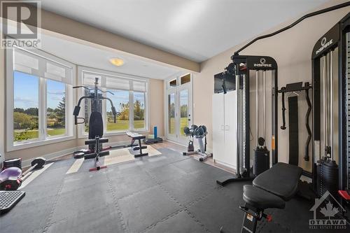 245 West Lake Circle, Ottawa, ON - Indoor Photo Showing Gym Room