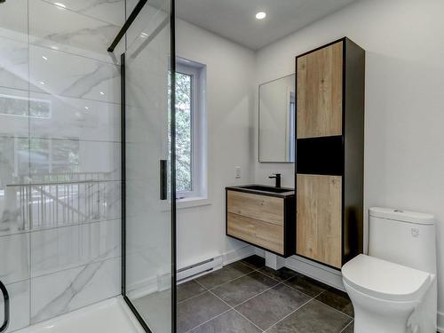 Salle de bains - 2100 Rue Wilfrid, Val-David, QC - Indoor Photo Showing Bathroom