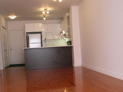 Autre - 203-440 Rue De La Gauchetière E., Montréal (Ville-Marie), QC - Indoor Photo Showing Kitchen