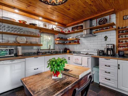 Cuisine - 4485 Rue Bigras, Terrebonne (Terrebonne), QC - Indoor Photo Showing Kitchen