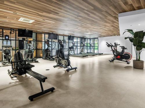 Salle d'exercice - 532-288 Rue Richmond, Montréal (Le Sud-Ouest), QC - Indoor Photo Showing Gym Room