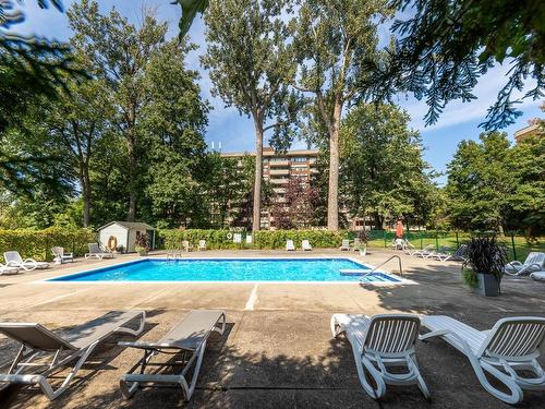 Piscine - 711-20 Av. Du Rhône, Saint-Lambert, QC - Outdoor With In Ground Pool