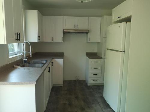 Cuisine - 59  - 61 Av. Du Havre-Des-Neiges, Saint-Sauveur, QC - Indoor Photo Showing Kitchen With Double Sink