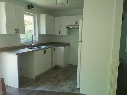 Cuisine - 59  - 61 Av. Du Havre-Des-Neiges, Saint-Sauveur, QC - Indoor Photo Showing Kitchen With Double Sink