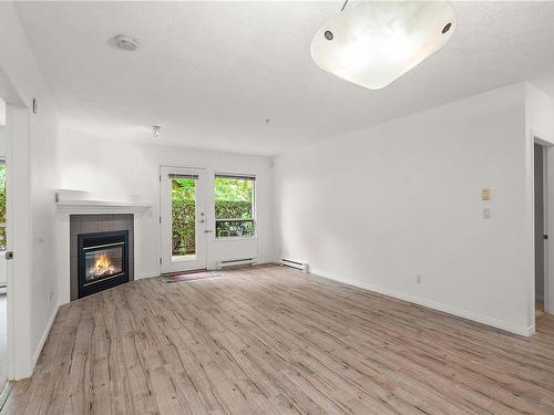 103-380 Waterfront Cres, Victoria, BC - Indoor Photo Showing Living Room With Fireplace