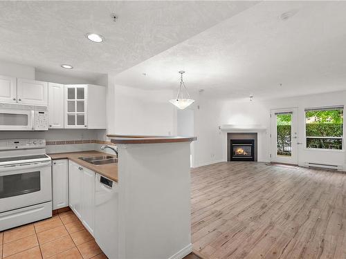 103-380 Waterfront Cres, Victoria, BC - Indoor Photo Showing Kitchen With Fireplace With Double Sink