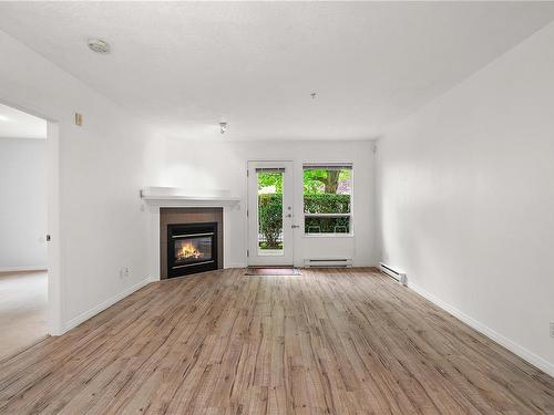 103-380 Waterfront Cres, Victoria, BC - Indoor Photo Showing Living Room With Fireplace