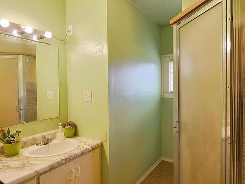 213 Bell Street, Chase, BC - Indoor Photo Showing Bathroom