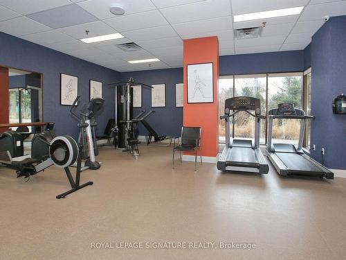 703-1 Concorde Pl, Toronto, ON - Indoor Photo Showing Gym Room