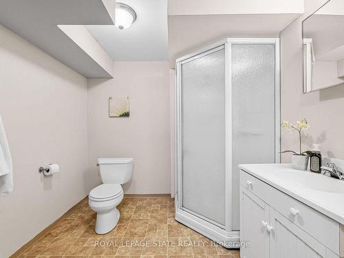 62 Henley Dr, Hamilton, ON - Indoor Photo Showing Bathroom