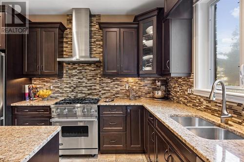 515 Huron, Lasalle, ON - Indoor Photo Showing Kitchen With Double Sink With Upgraded Kitchen