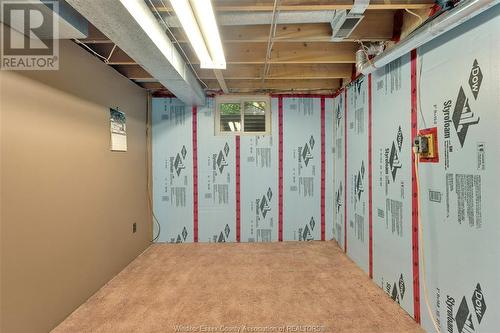 3167 Fairlane Crescent, Windsor, ON - Indoor Photo Showing Basement