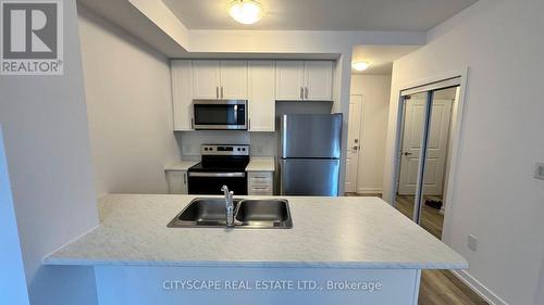 117 - 470 Dundas Street E, Hamilton (Waterdown), ON - Indoor Photo Showing Kitchen With Stainless Steel Kitchen With Double Sink