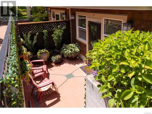 Patio view from outdoor stairs. - 2 1146 Richardson St, Victoria, BC - Outdoor