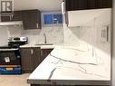 1120 Parkview Avenue Unit# Lower, Windsor, ON  - Indoor Photo Showing Kitchen 