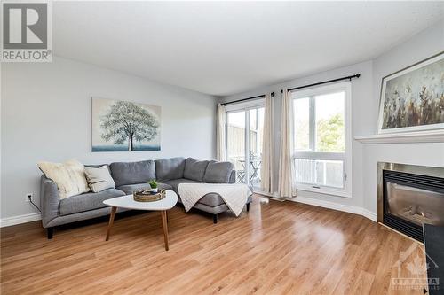 6227 Tealwood Place, Ottawa, ON - Indoor Photo Showing Living Room With Fireplace