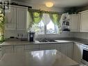 3214 Milton Street, Saskatoon, SK  - Indoor Photo Showing Kitchen With Double Sink 