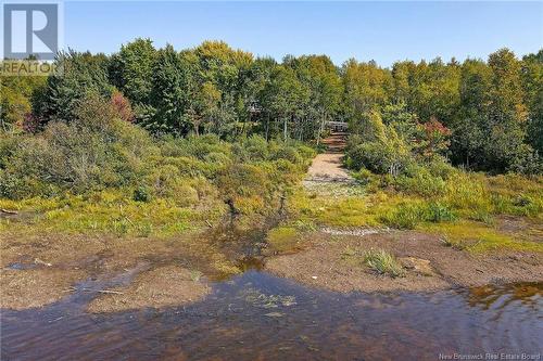 37 Mallard Lane, Coal Creek, NB - Outdoor With View