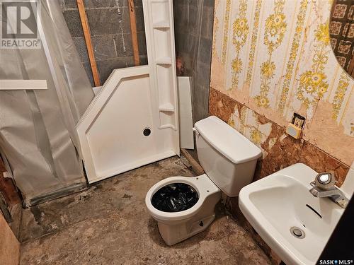 203 Main Street, Lipton, SK - Indoor Photo Showing Bathroom