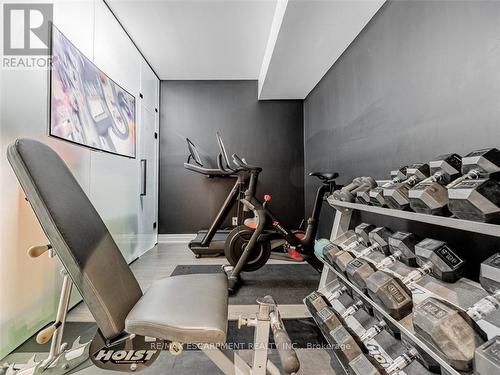 393 Maple Grove Drive, Oakville, ON - Indoor Photo Showing Gym Room