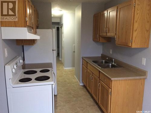 203 3094 5Th Avenue E, Prince Albert, SK - Indoor Photo Showing Kitchen With Double Sink