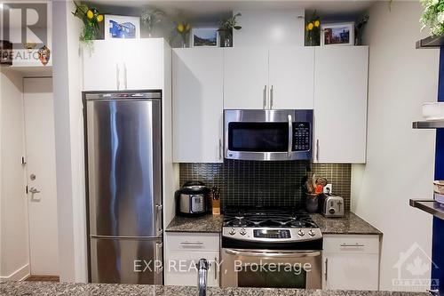 210 - 100 Champagne Avenue S, Ottawa, ON - Indoor Photo Showing Kitchen