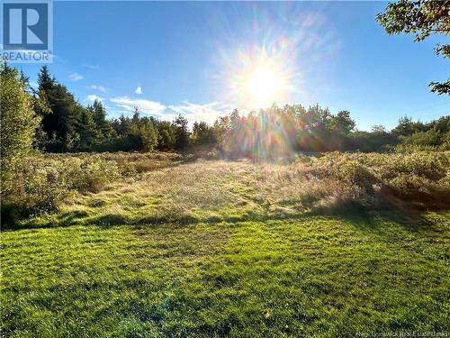 169 Bay Du Vin River Road, Bay Du Vin, NB - Outdoor With View