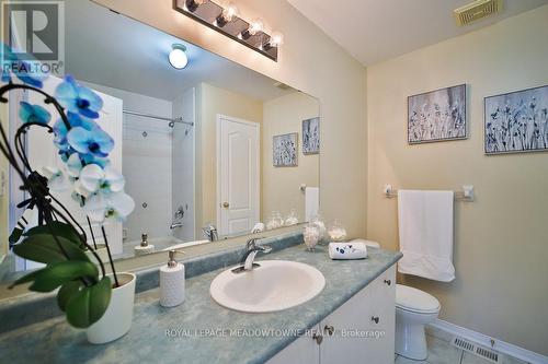 9 Blackcherry Lane, Brampton (Sandringham-Wellington), ON - Indoor Photo Showing Bathroom