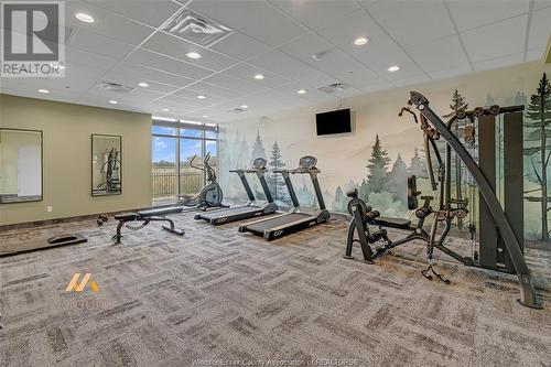 1900 6Th Concession Unit# 115, Lasalle, ON - Indoor Photo Showing Gym Room